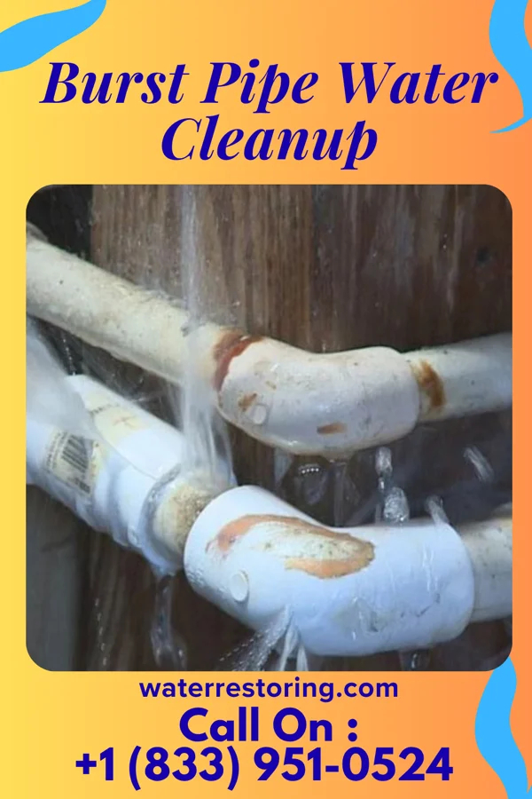 Burst Pipe Water Cleanup in Ricketts, IA