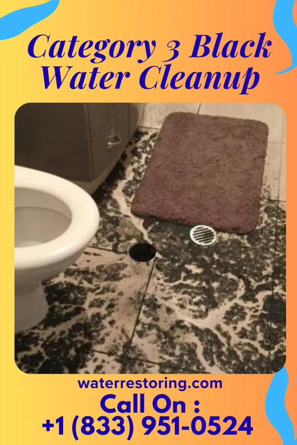 Category 3 Black Water Cleanup in Ricketts, IA