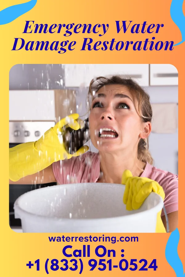 Emergency Water Damage Restoration in Ricketts, IA
